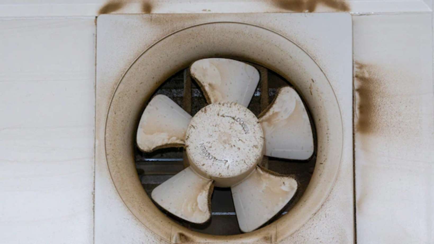 Kitchen Exhaust Fan Cleaning Grease Removal Tips