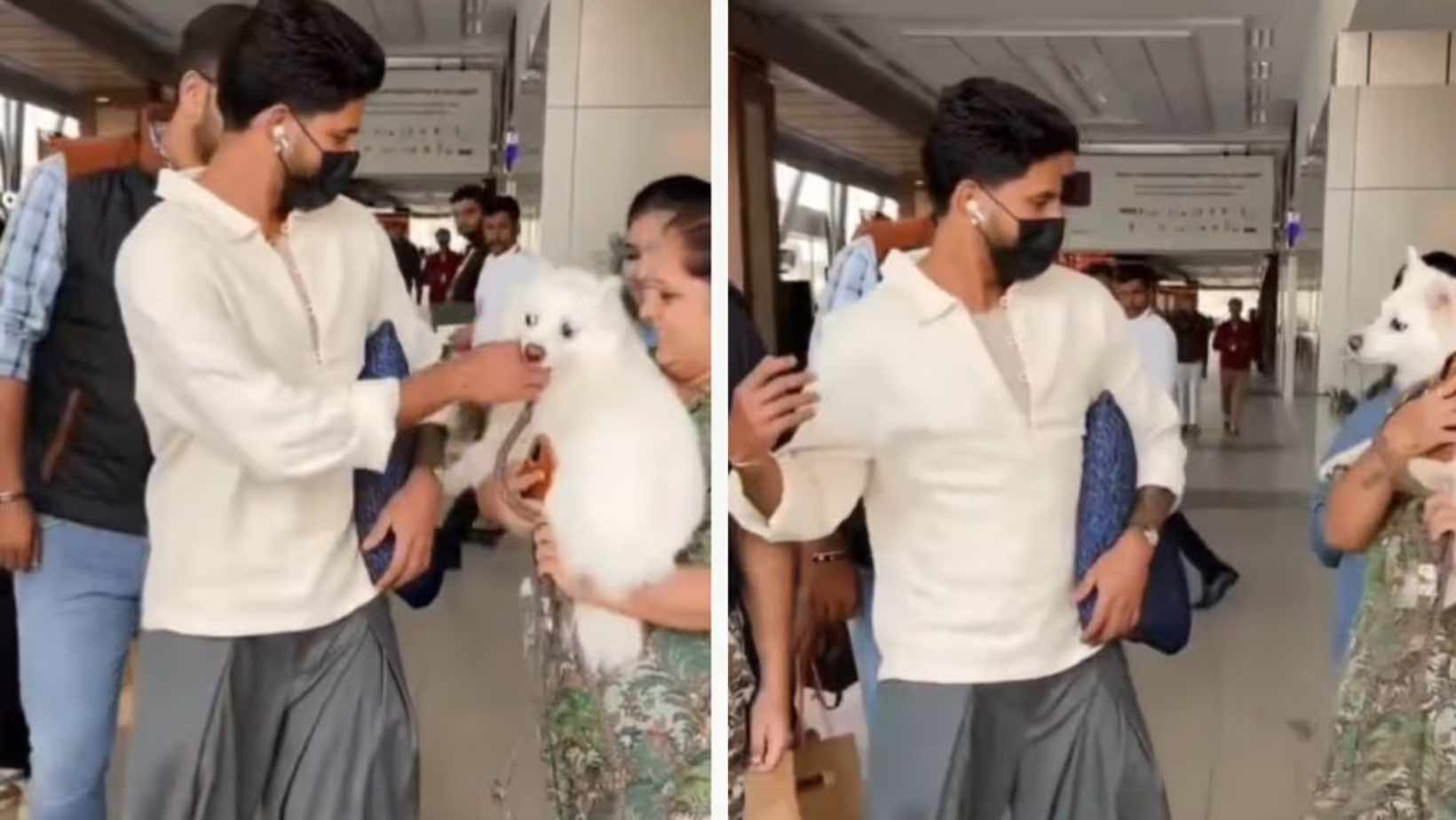 Shreyas Iyer Dog Attack Viral Video Before Nz Series