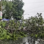 Storm Rain Havoc Up Bihar Deaths Weather Alert India