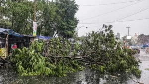 Storm Rain Havoc Up Bihar Deaths Weather Alert India