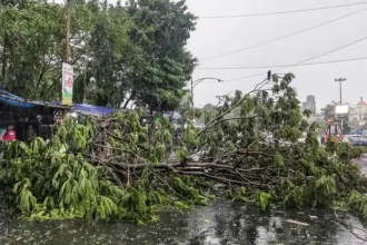 Storm Rain Havoc Up Bihar Deaths Weather Alert India