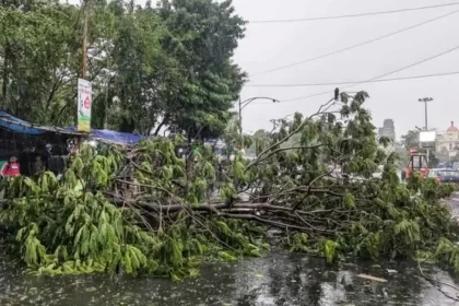 Storm Rain Havoc Up Bihar Deaths Weather Alert India