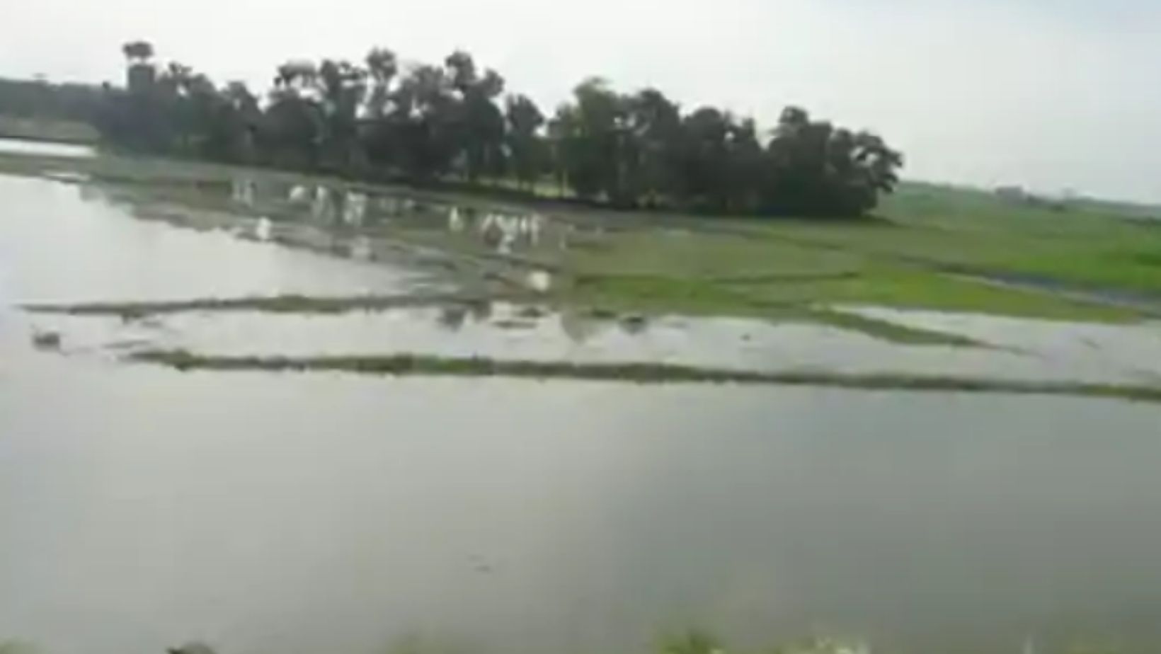 Topo Land Ban Bihar 14 Districts Registration Stop